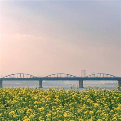 科创综指ETF景顺（589890）涨3.11%，成交额586.83万元